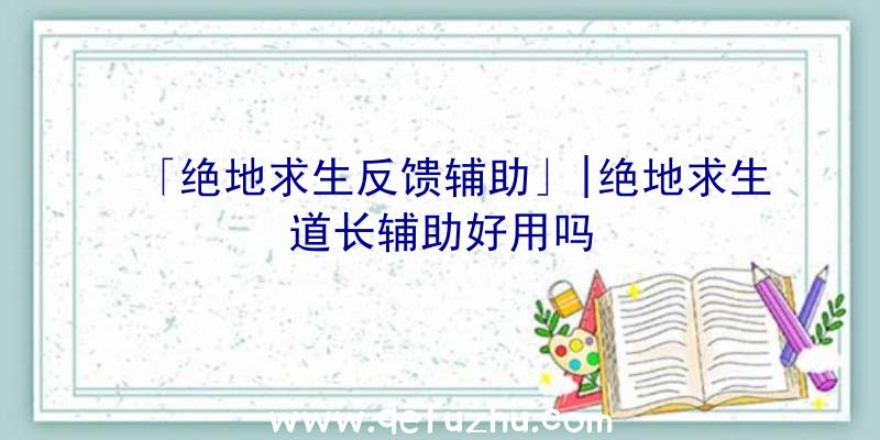 「绝地求生反馈辅助」|绝地求生道长辅助好用吗